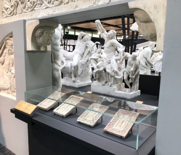 Visite libre des collections