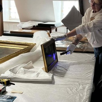 Visite guidée des réserves du musée
