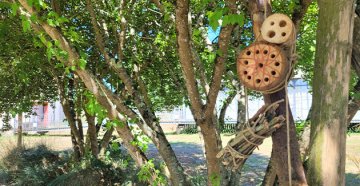 Atelier "Un hôtel pour les insectes"
