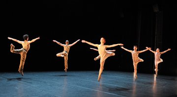 Le lac des cygnes - ballet preljocaj