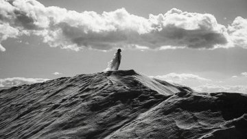LUMA Arles / In Search of… Incredible