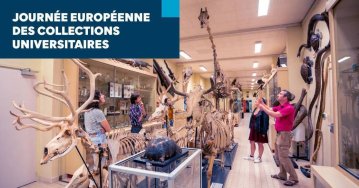Journée européenne des collections universitaires