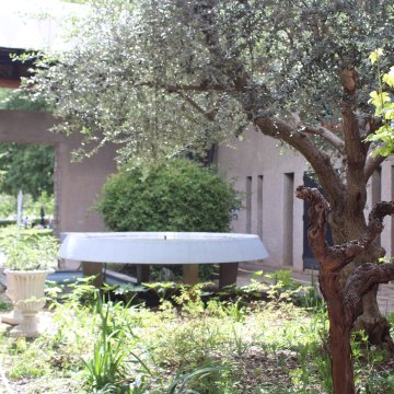 Atelier - Le monde végétal du musée