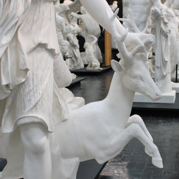 Atelier - Les animaux au musée