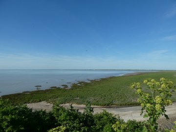 La baie de l'Aiguillon au fil des saisons