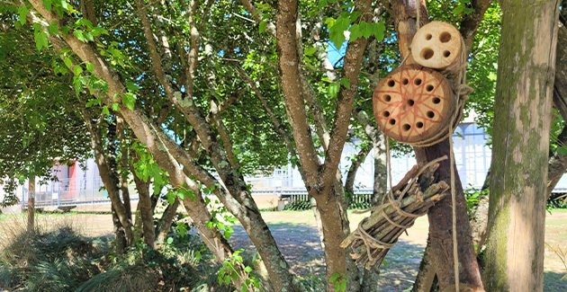 Atelier "un hôtel pour les insectes" 3-6 ans