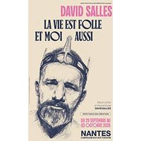 David salles