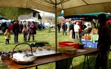 Marché bio en fête : démonstration culinaire et dégustation