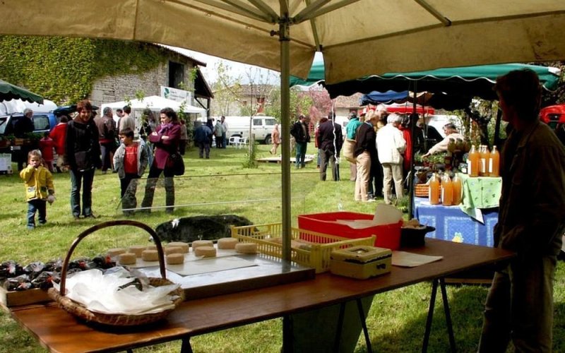 Marché bio en fête : démonstration culinaire et dégustation