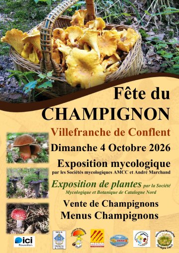 Fête du Champignon