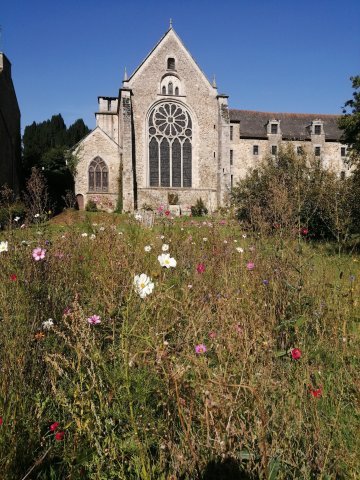 Visite du jardin de l'Abbaye et présentation de la gestion du site ainsi que des nouvelles plantations