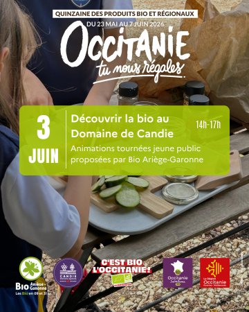 Animations enfants au Domaine de Candie