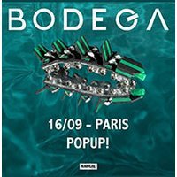Bodega