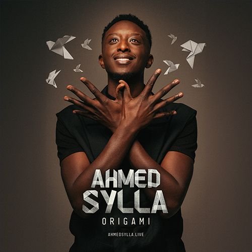 Ahmed Sylla - Origami