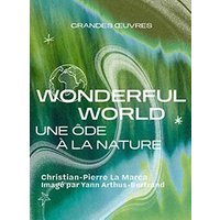 Wonderful world