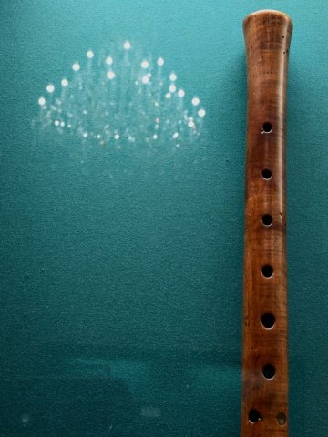 Caprice & concertos