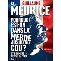 Guillaume meurice