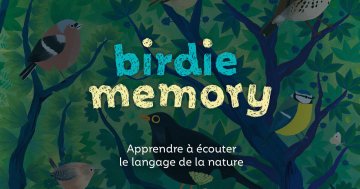 Atelier Birdie Mémory : Les oiseaux du jardin