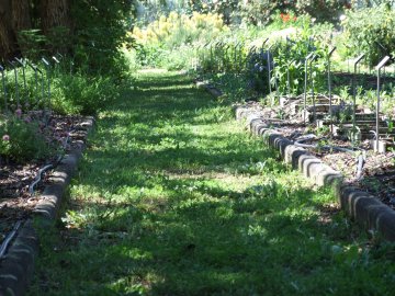 Visite du jardin Botanique de Clermont Ferrand