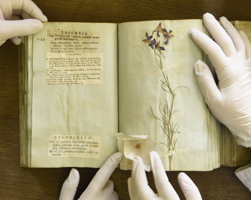 L'herbier de l’Université Lyon 1 : des collectes du XVIIIème siècle à l’herbier virtuel
