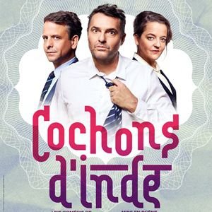 COCHONS D'INDE