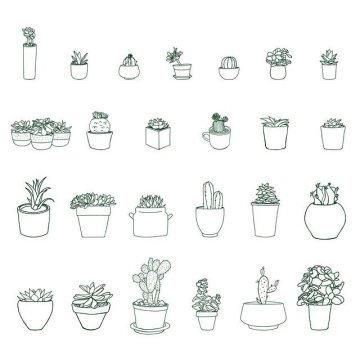 Troc aux plantes