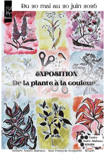 De la plante à la couleur