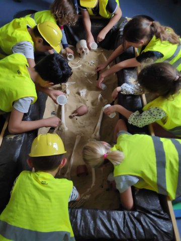 Animation jeune public : atelier "mandibules et compagnie : dans la peau d'un archéologue"