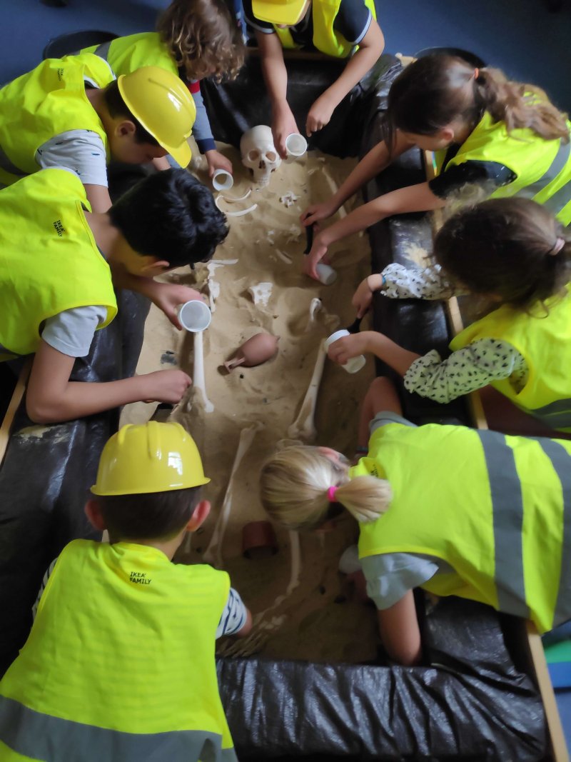 Animation jeune public : atelier "mandibules et compagnie : dans la peau d'un archéologue"