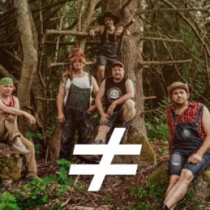 STEVE'N'SEAGULLS