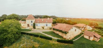 Visites guidées du musée et de l'exposition temporaire