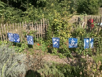 Atelier Cyanotype