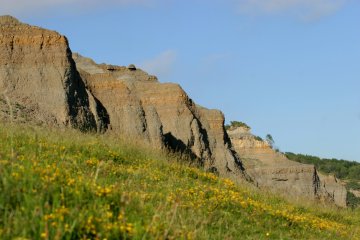Visite guidée des falaises des Vaches noires