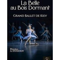 La belle au bois dormant