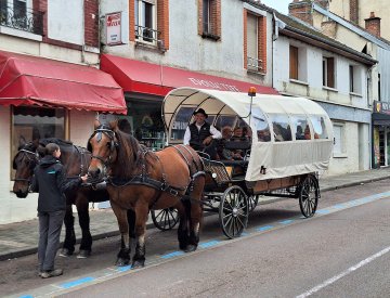 Visite en calèche de la ville de Romilly-sur-Seine