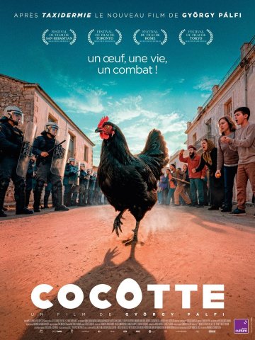 Cocotte (vost)
