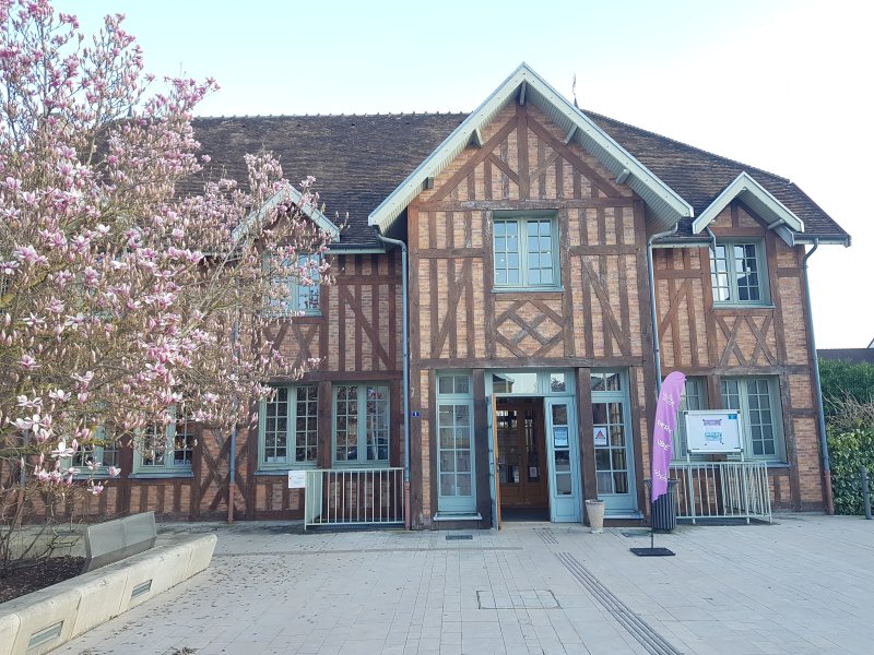 Un bibliothécaire (presque) parfait