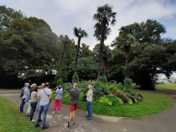 Balade botanique du parc de la Gaudinière