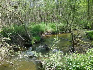 Les Fossottes, entre nature et patrimoine