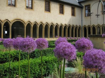 Visite guidée des jardins de plantes médicinales, des plantes toxiques et de l'Apothicarium du cloître des Récollets