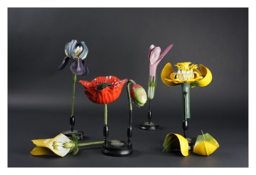 Découverte des modèles de fleurs de la maison Deyrolle