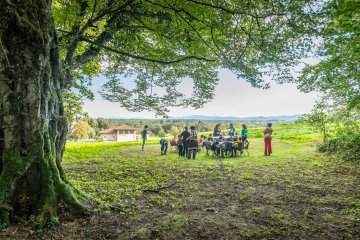 "Forêt Vivante"