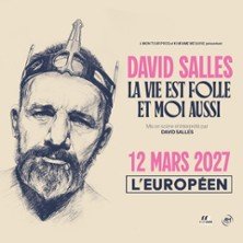 David Salles - La Vie est Folle et Moi Aussi