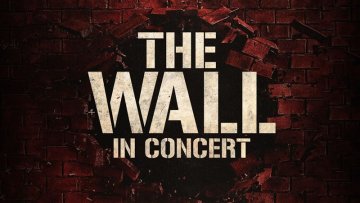 The wall