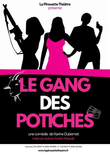 Le gang des potiches