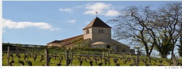Eglise Saint-Saturnin