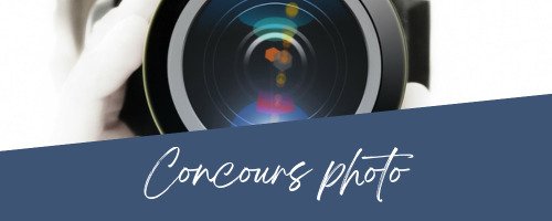Concours photo : Instants dorés