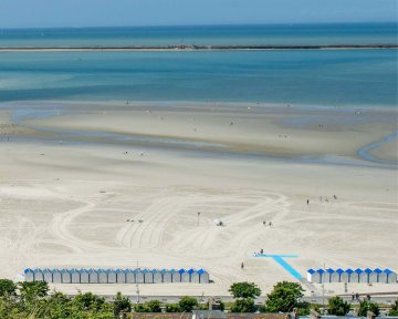Visite guidée "Boulogne du haut de la falaise"