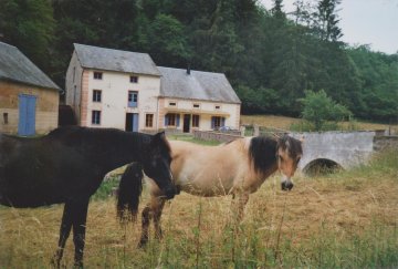 Visite du moulin de Marnay