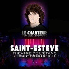 Le Chanteur Hommage à Balavoine
